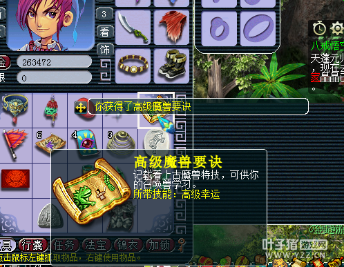 ֱ85޾