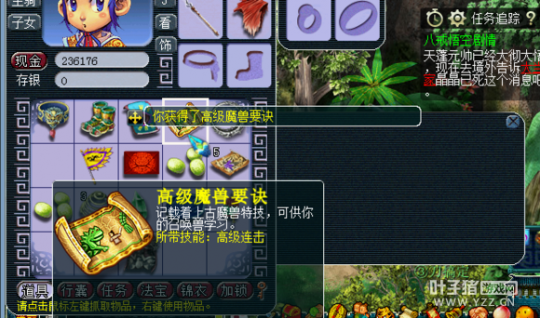 ֱ85޾