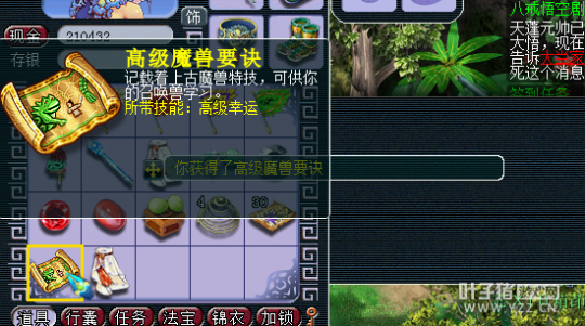 ֱ85޾