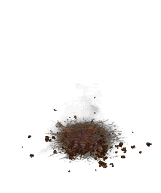 ޳ع