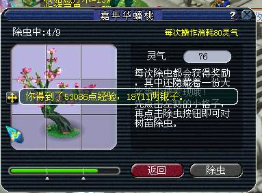 五姐妹飞升路
