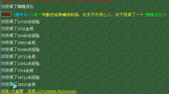 五姐妹飞升路