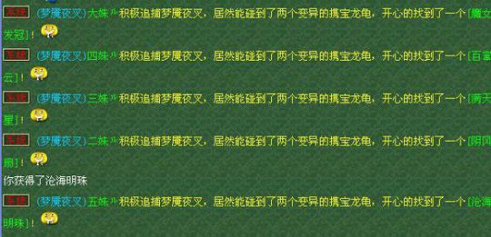 五姐妹飞升路