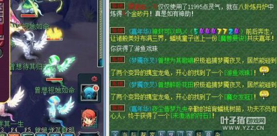 忪ֱ