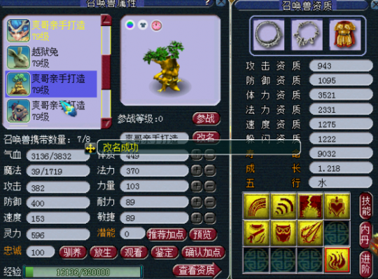 自合自打宝宝