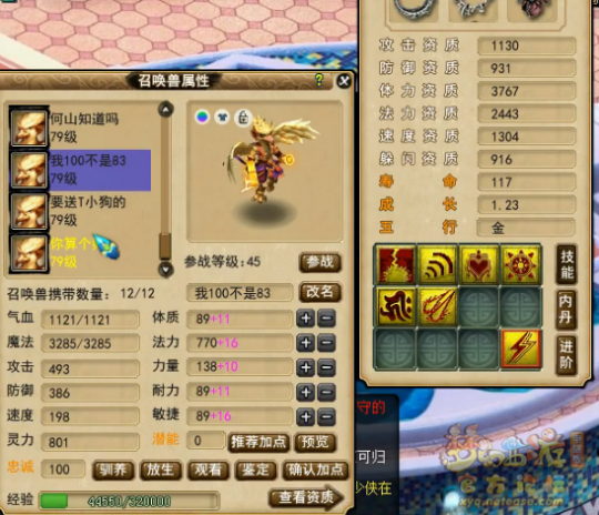鼓浪屿精锐老板