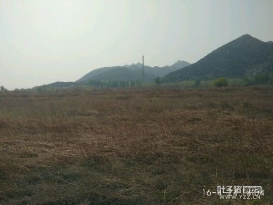 详情