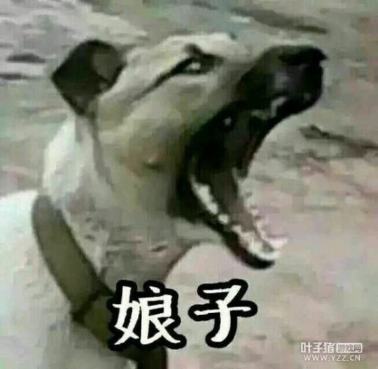 瞬秒打造号