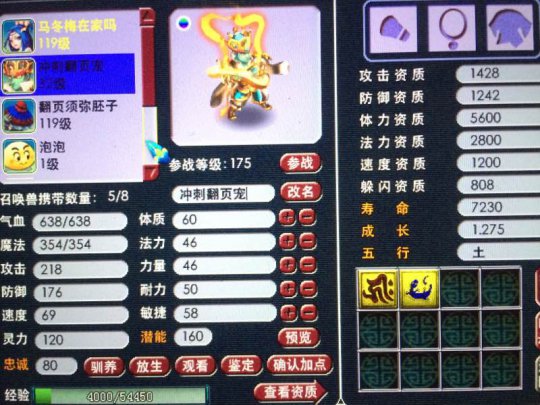 ֱ�����������������