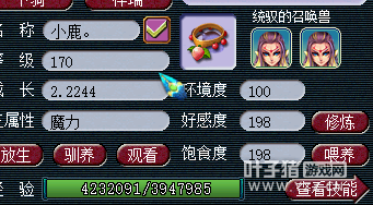 详情