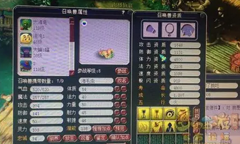 带特技的宝宝