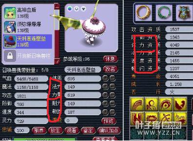 175忪ֱ