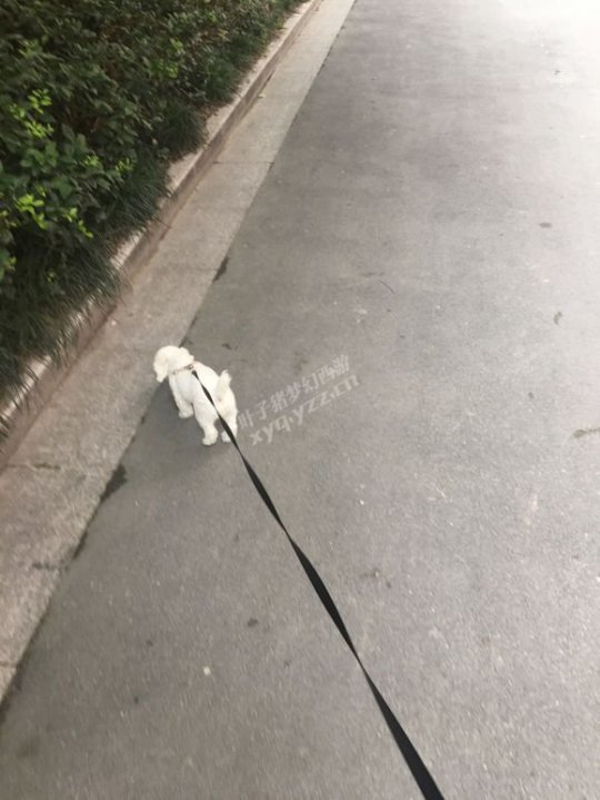 ĵֱͤ