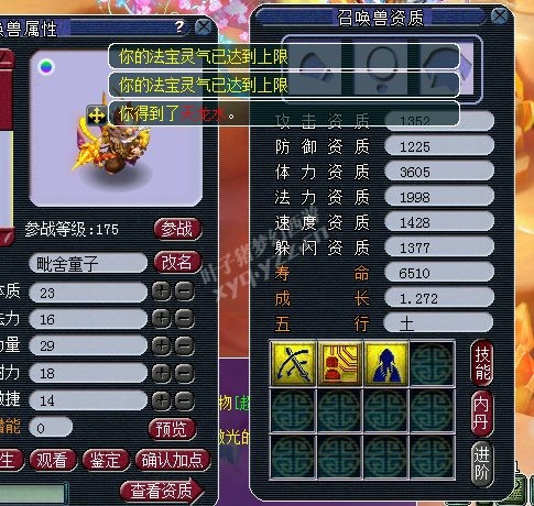 175忪ֱʥ