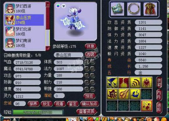 详情
