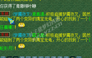 129五开直播
