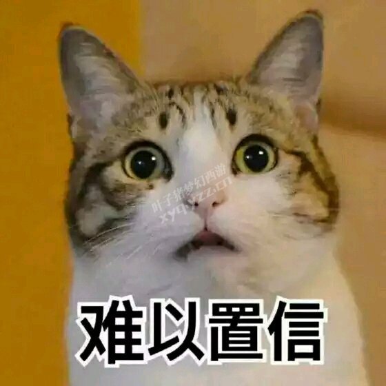 跑环直播