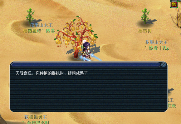 摇钱树直播