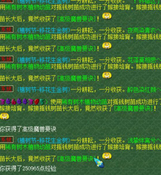 ޽淨