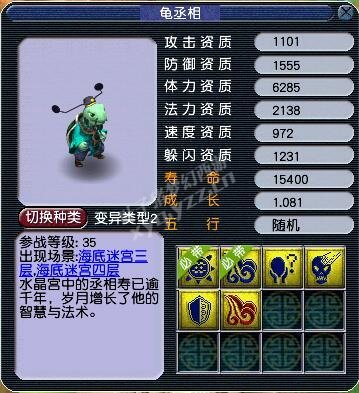 龟丞相