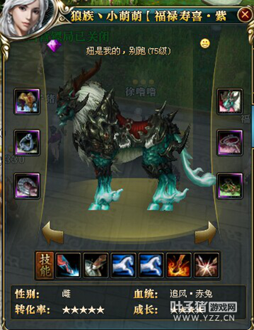 新区御品真龙惊现18星女土豪